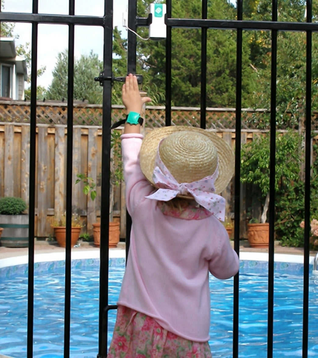 Terrapin Wireless Gate Alarm