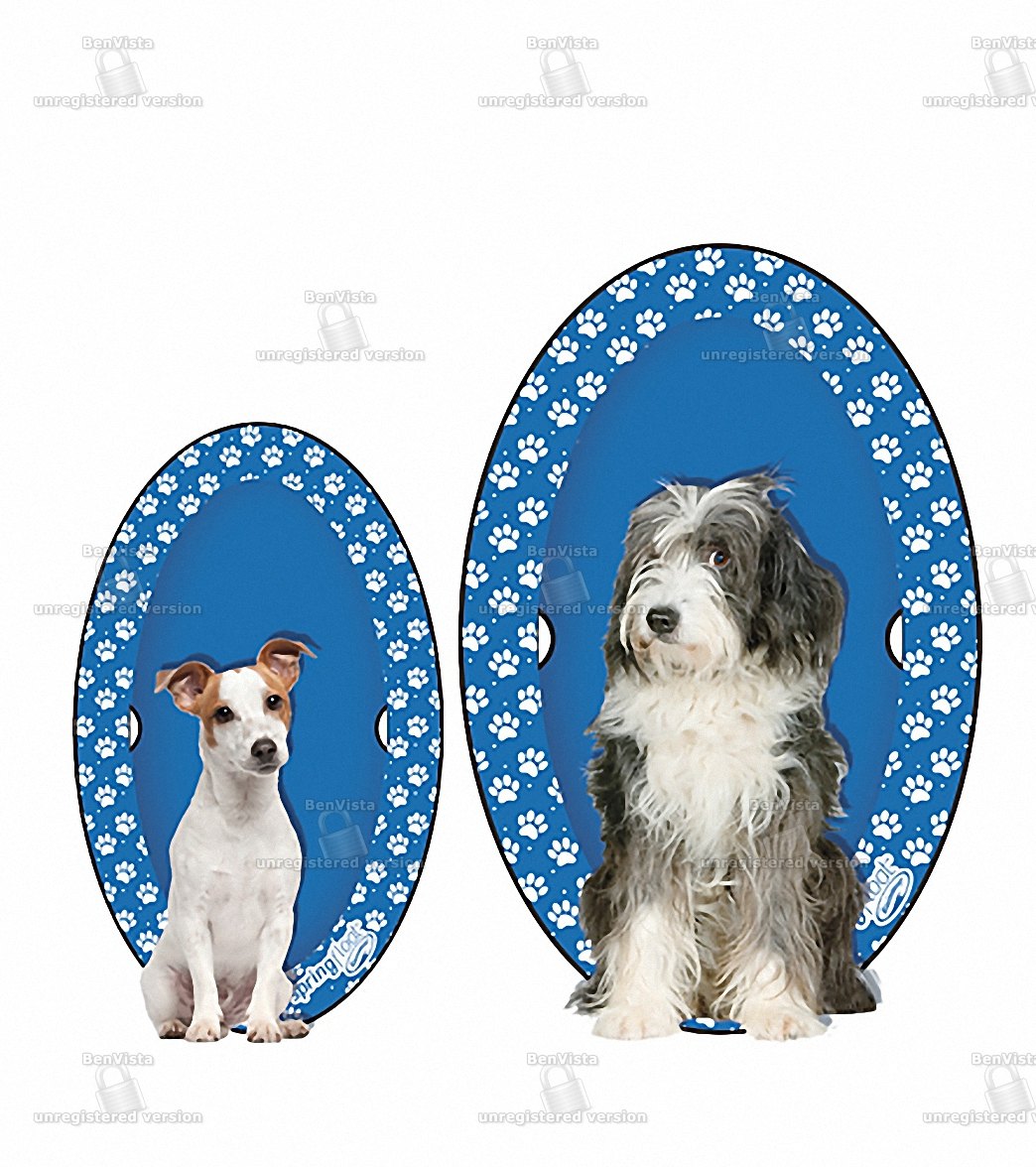 SwimWays Dogs' Spring Float Paddle Paws (Large 65lbs+)