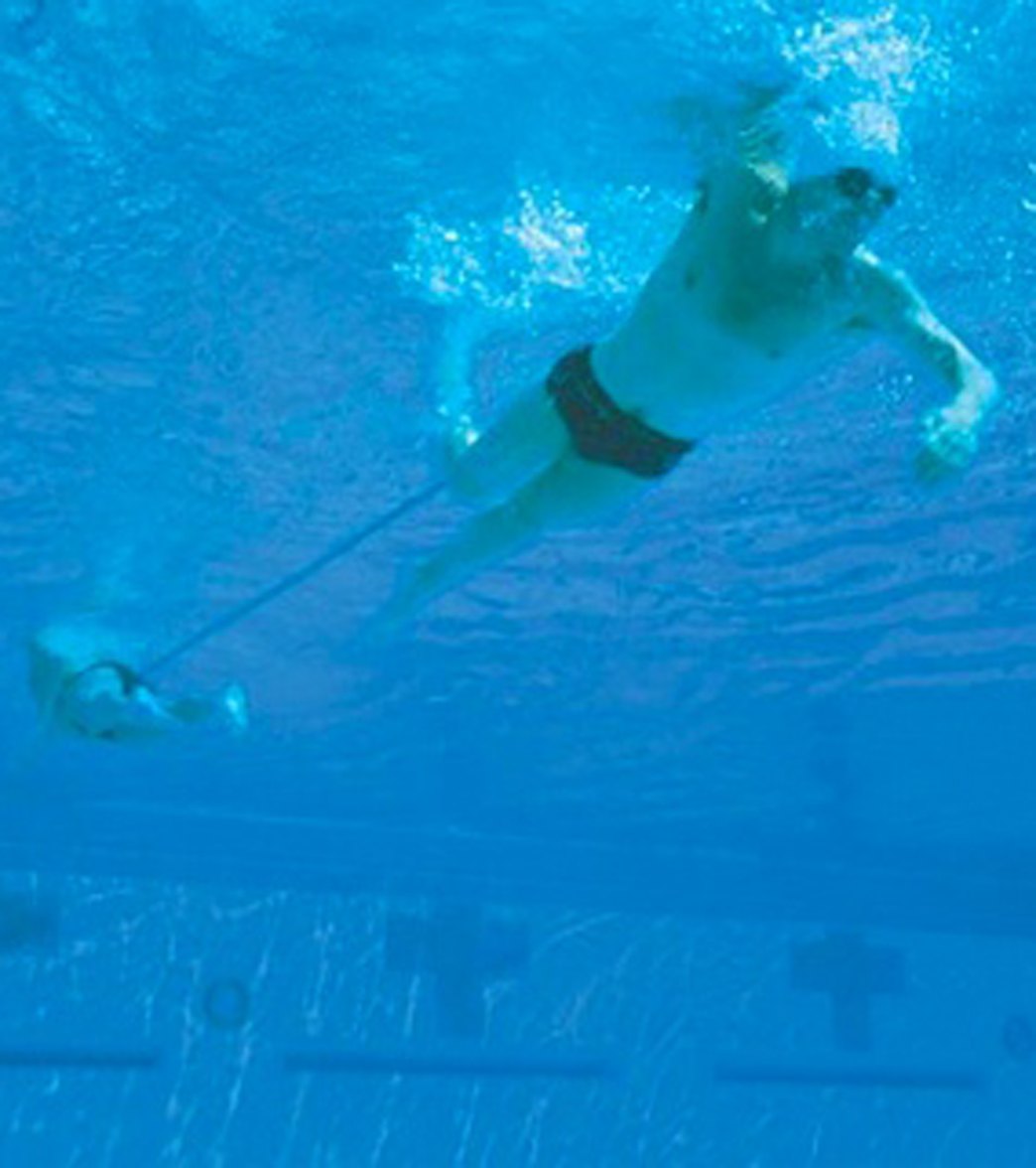 StrechCordz Grudge Belt