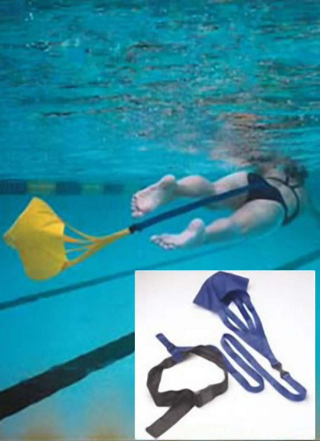 StrechCordz Drag Belt/Tow Tether