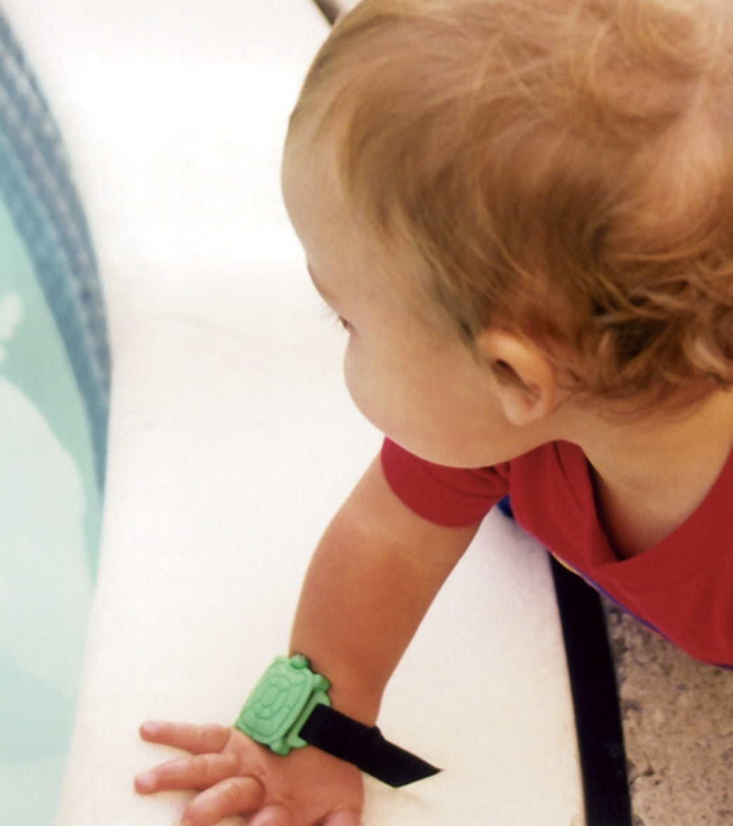 Terrapin Turtle Wristband