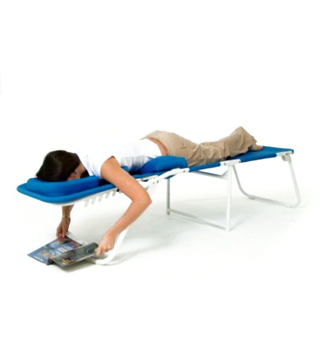 Ergolounger The Ergolounger OH