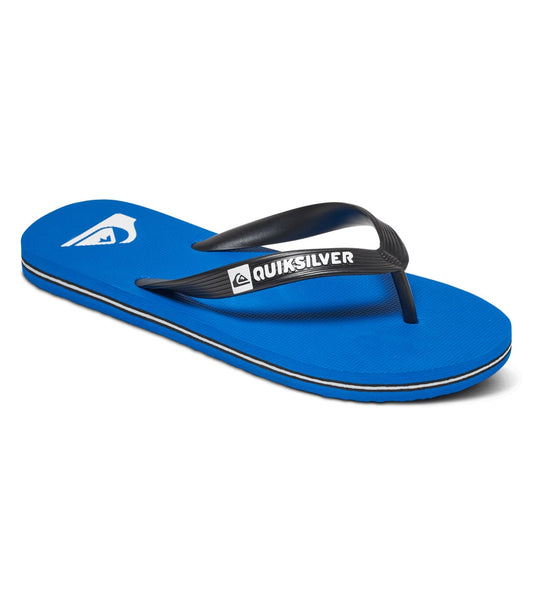 Quiksilver Youth Molokai Flip Fop (Little Kid, Big Kid)