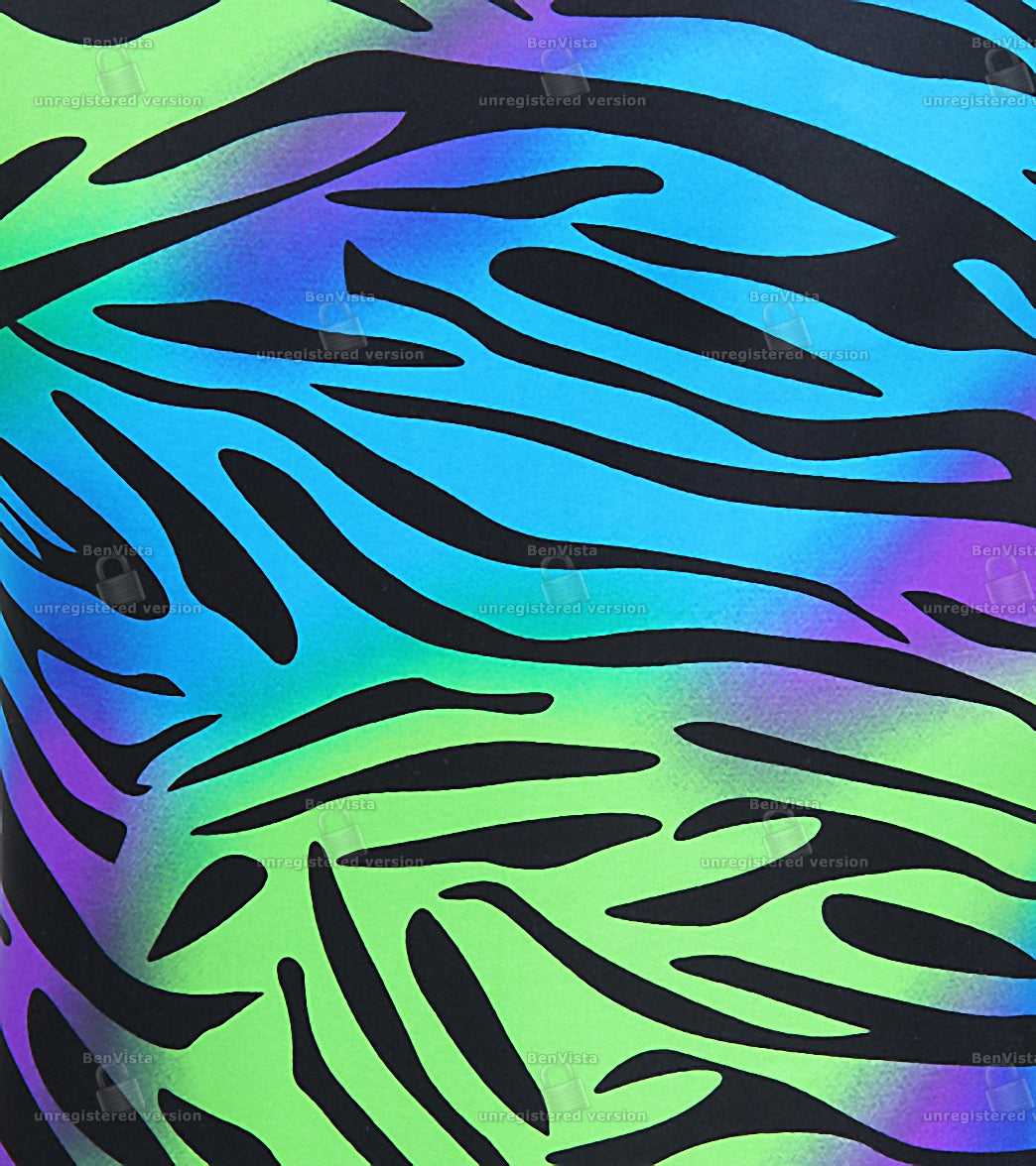 Waterpro Women's Fierce One Piece Swimsuit