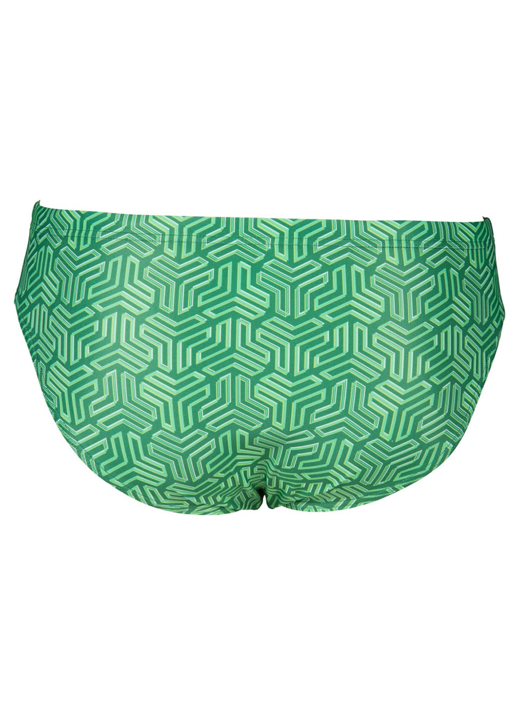 Arena Men's Kikko MaxLife Brief Swimsuit