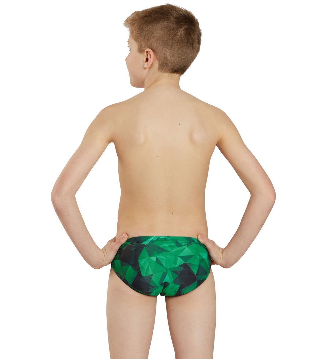 Sporti Fractalicious Brief Swimsuit (22-40)