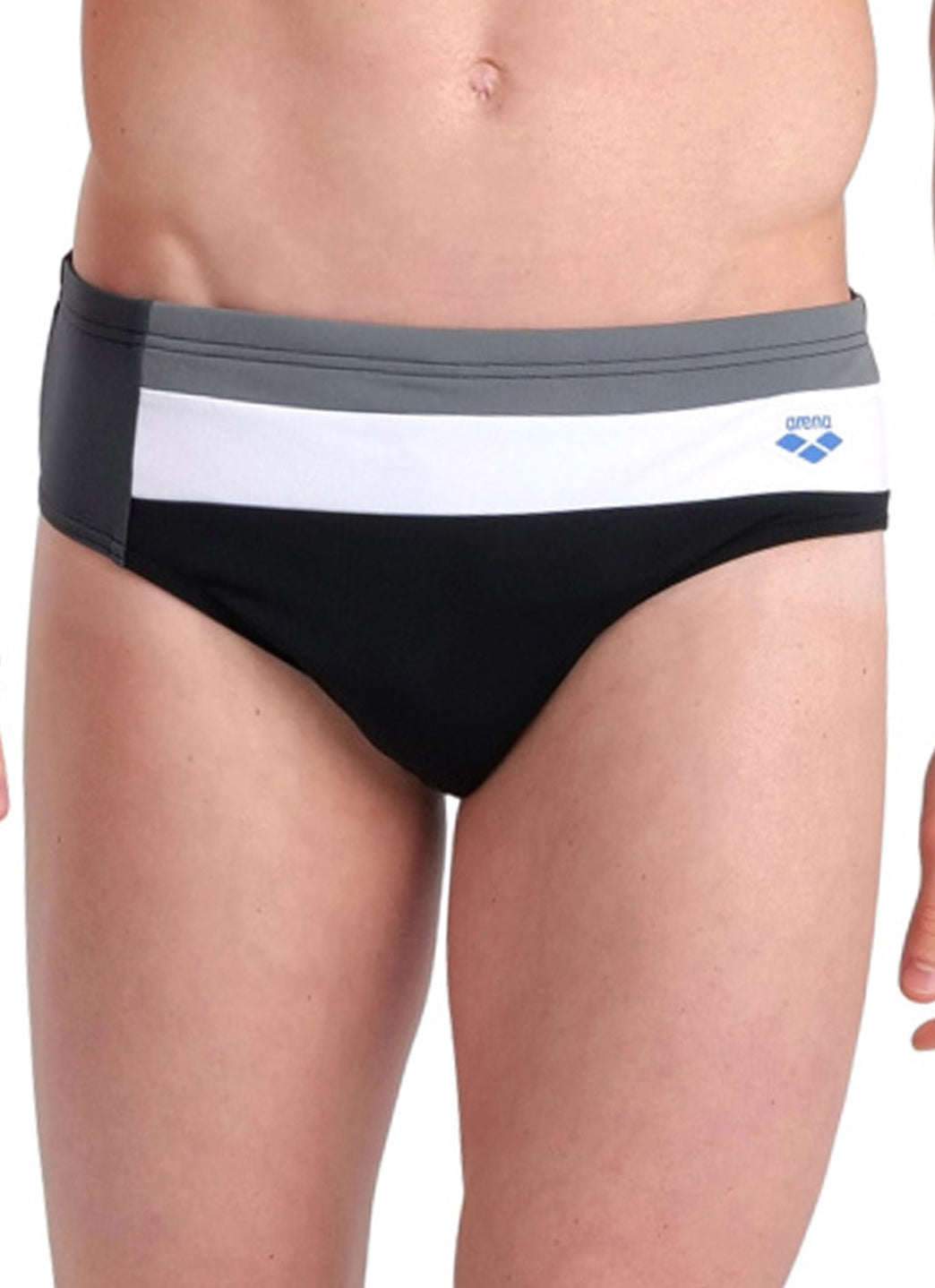 Arena Men's Icons Panel Brief Swimsuit