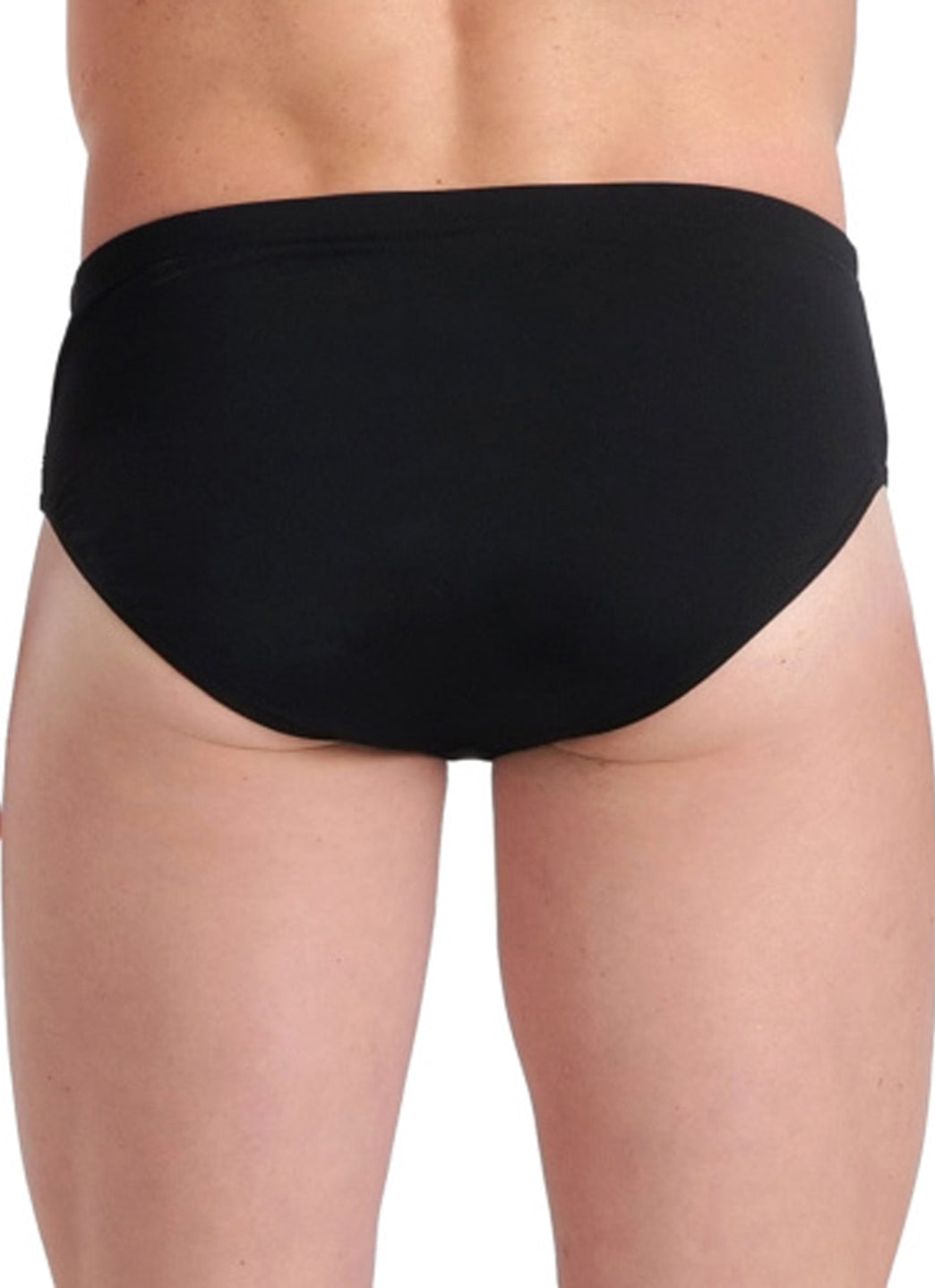 Arena Men's Icons Panel Brief Swimsuit