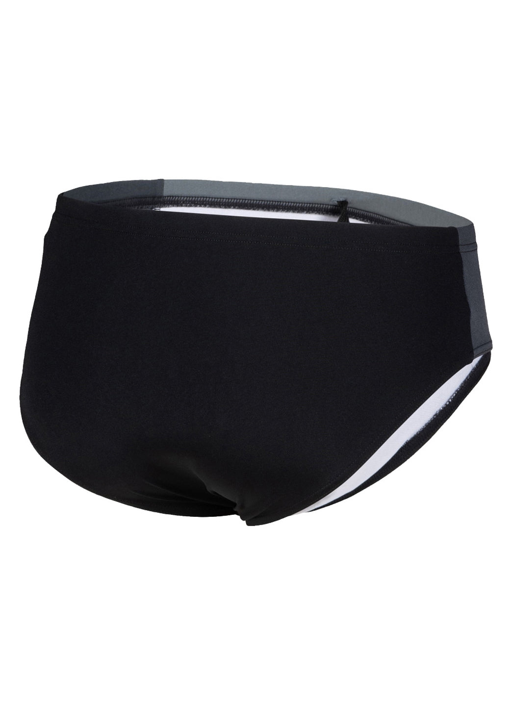 Arena Men's Icons Panel Brief Swimsuit