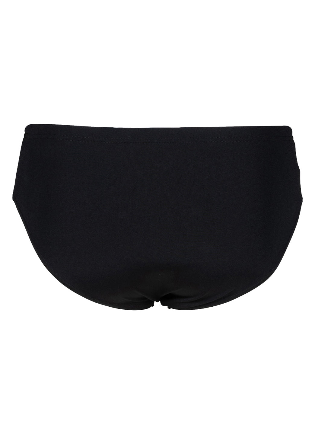 Arena Men's Icons Panel Brief Swimsuit