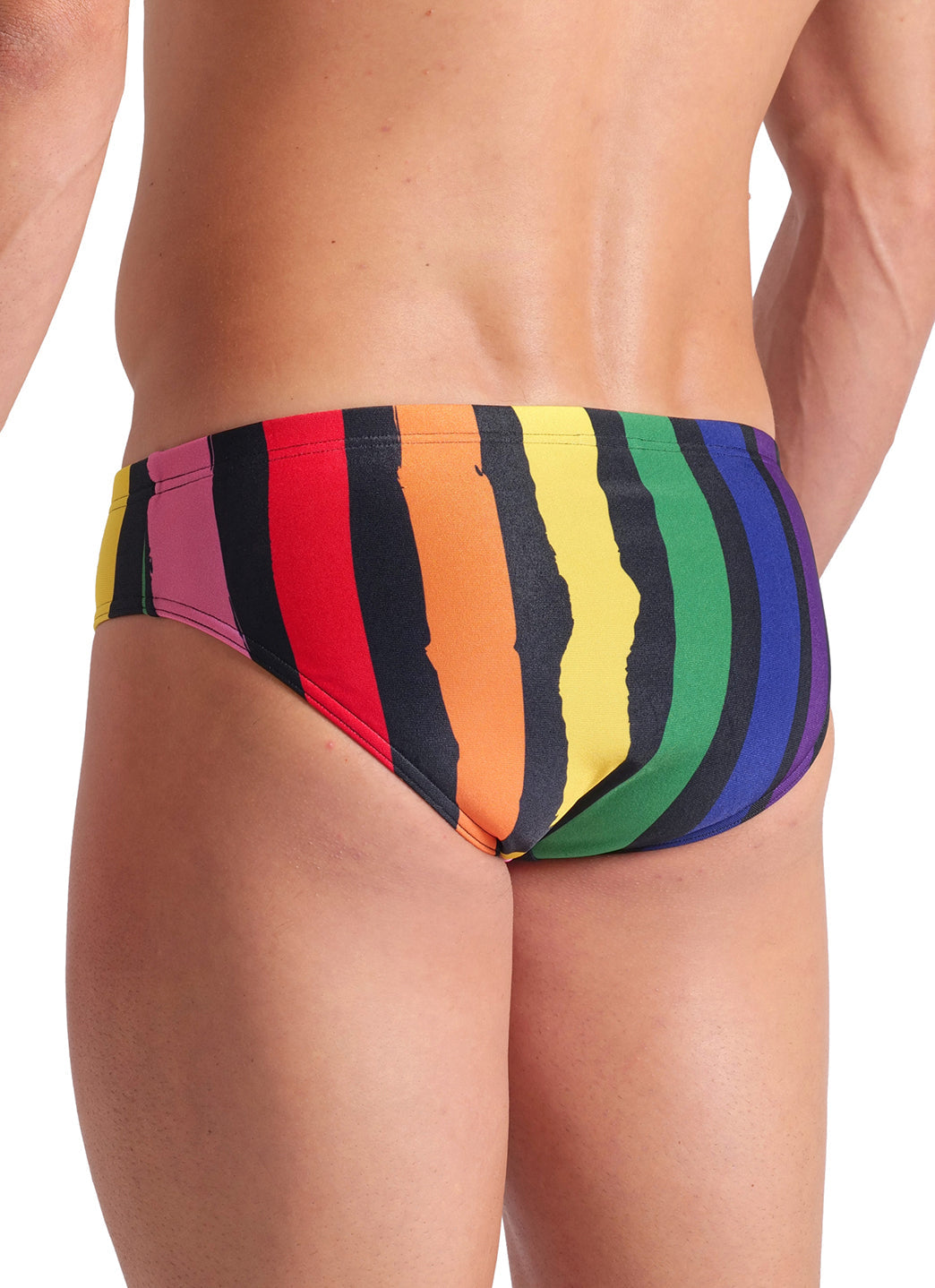 Arena Men's Painters Stripe Brief Swimsuit