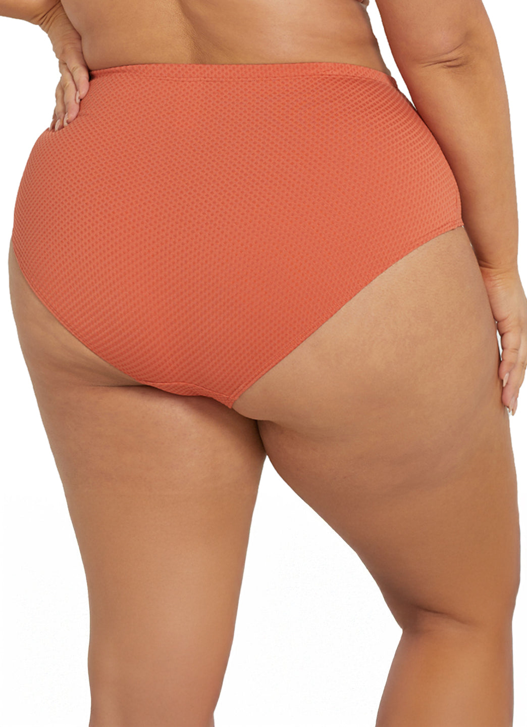 Artesands Woman's Plus Size Wuk-tjarra Renoir High Waist Bikini Bottom