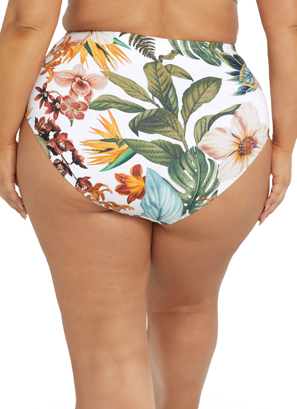 Artesands Woman's Plus Size Into The Saltu Botticelli High Waist Bikini Bottom