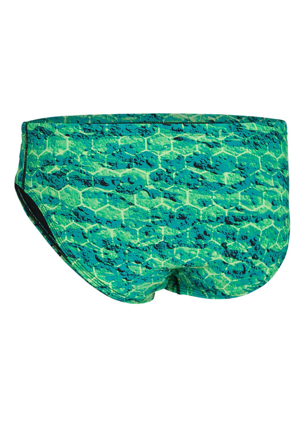 TYR Men's Agran Wave Racer Brief Swimsuit