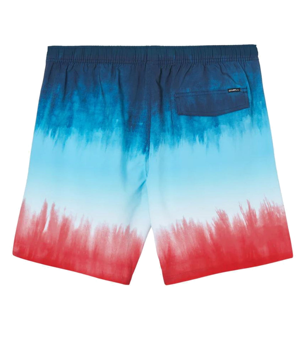 O'Neill Men's 17" Hermosa Swim Trunks