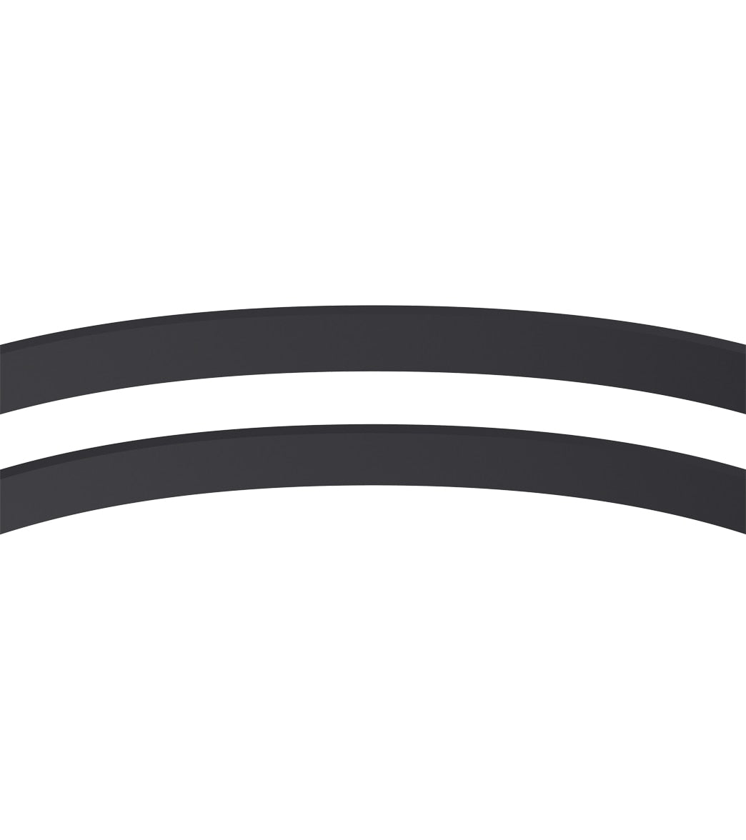 Speedo Hydrosity Mirrored Goggles