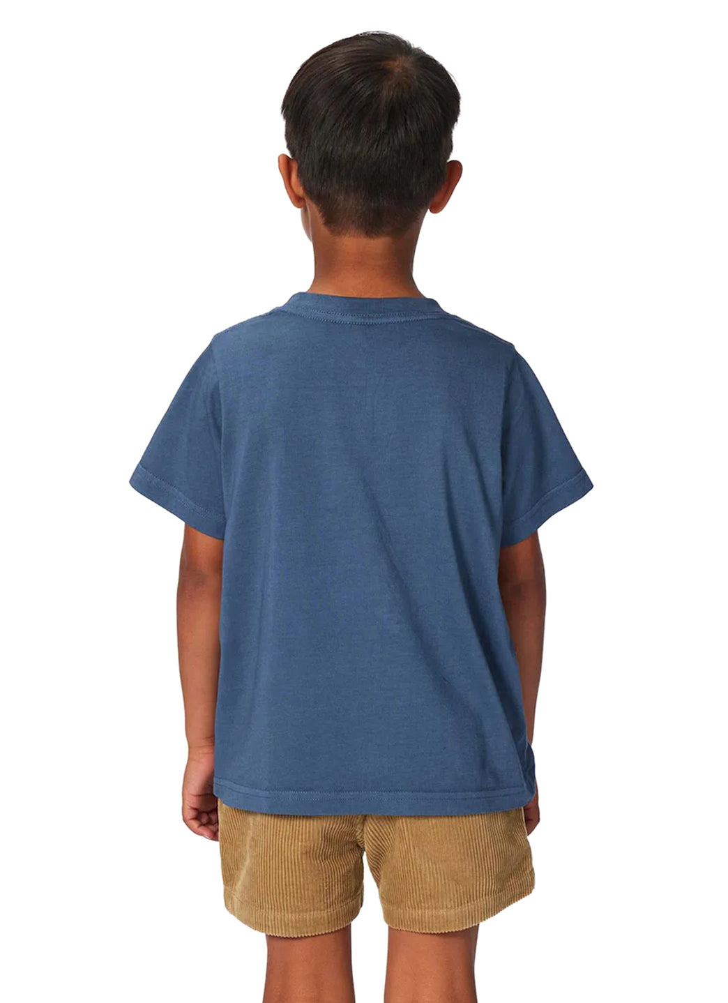 Rip Curl Boys' Grom Energy Lizard Short Sleeve Tee (Toddler, Little Kid)