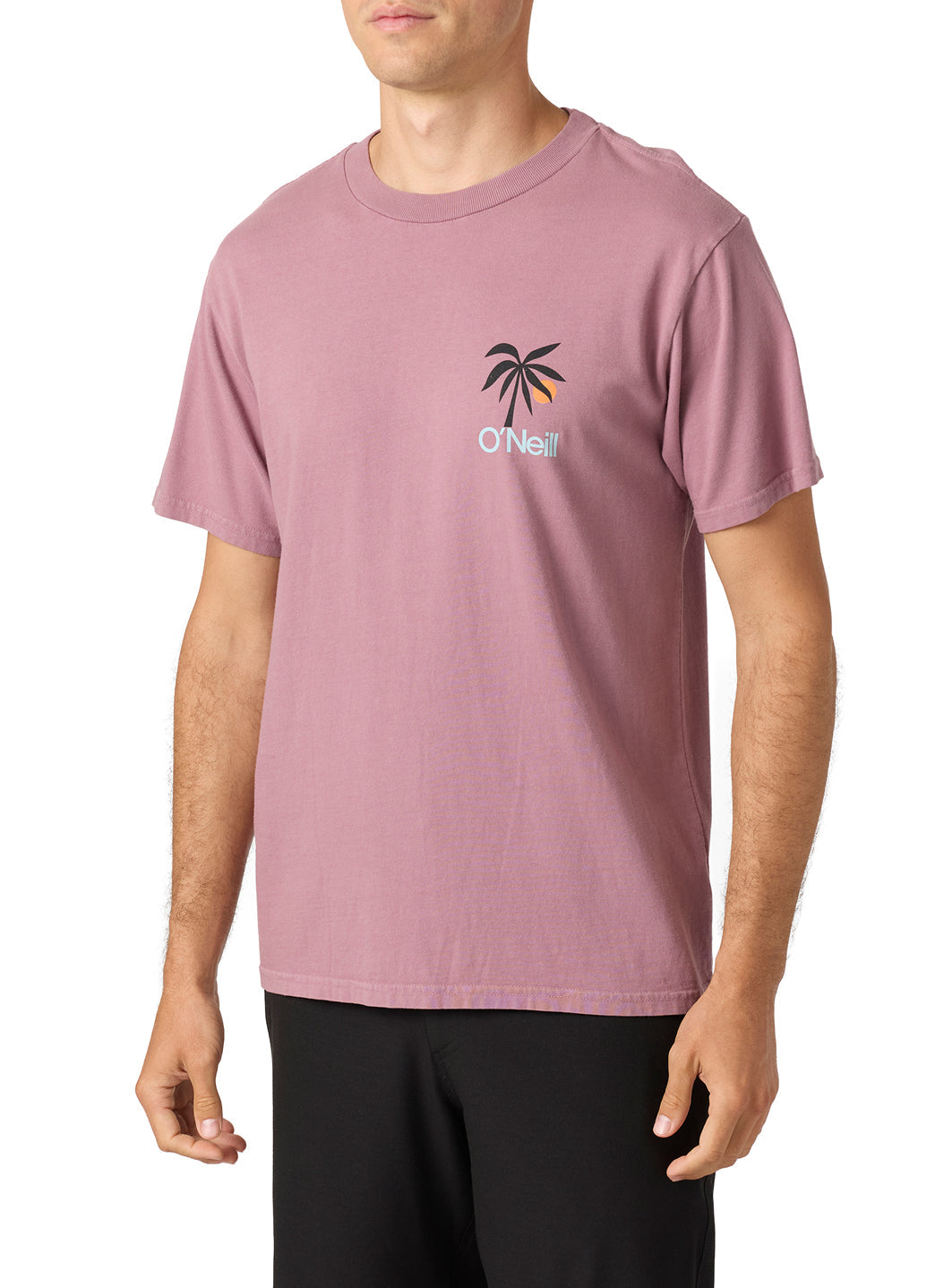 O'Neill Men's OG Dusk Tee