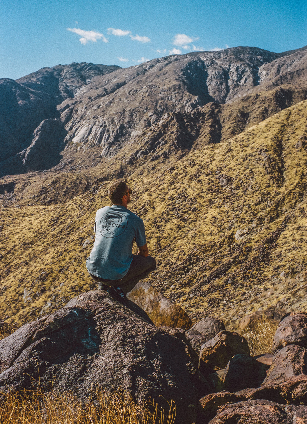 O'Neill Men's OG Circle Surfer Tee