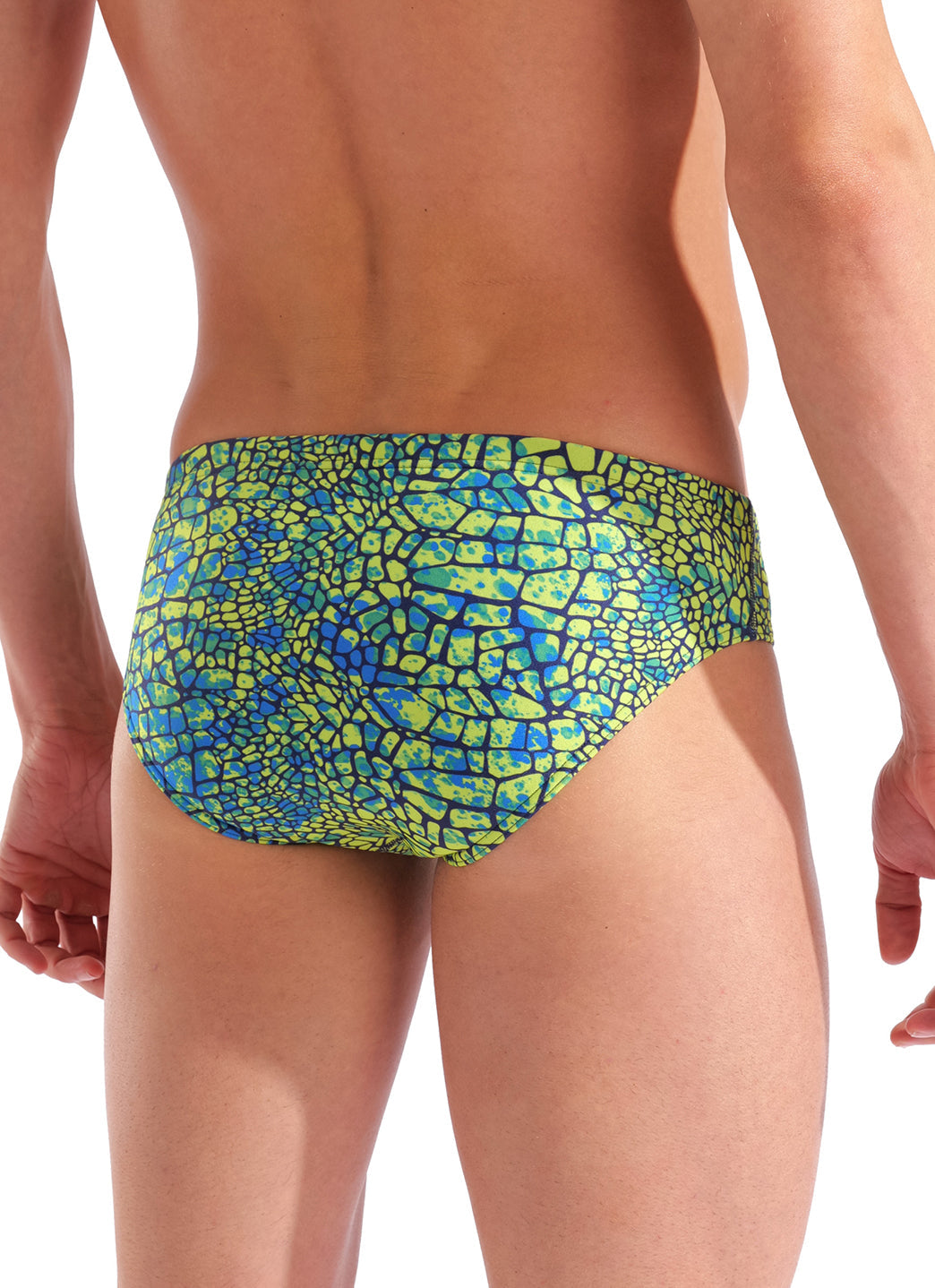 Arena Men's Snakeskin Brief Swimsuit