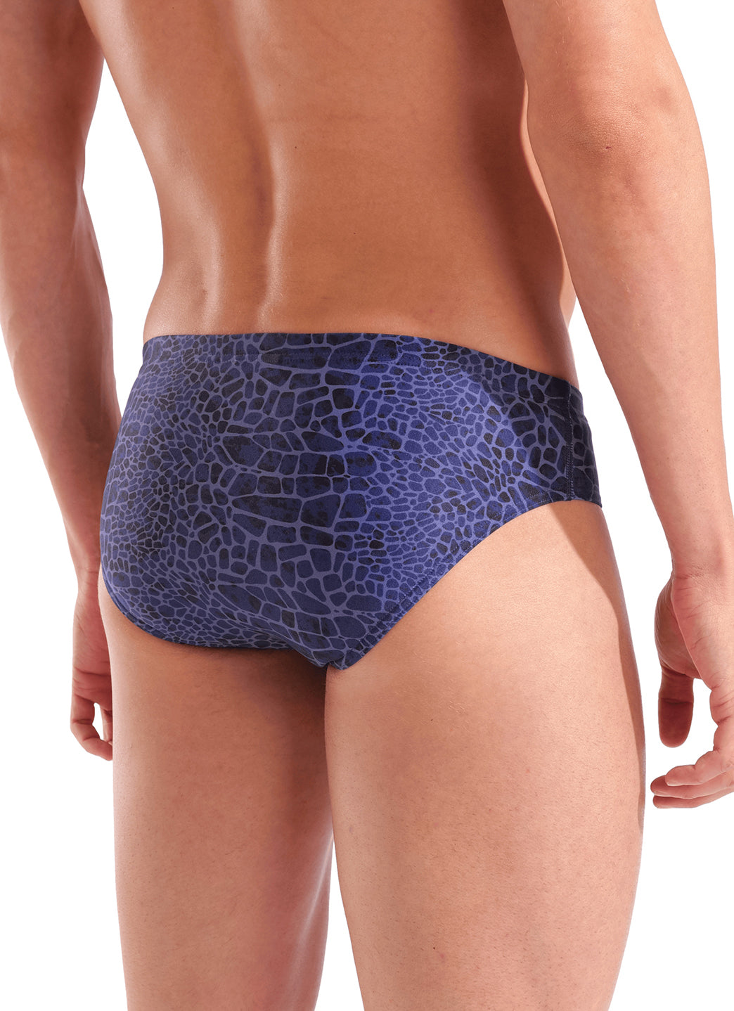 Arena Men's Snakeskin Brief Swimsuit