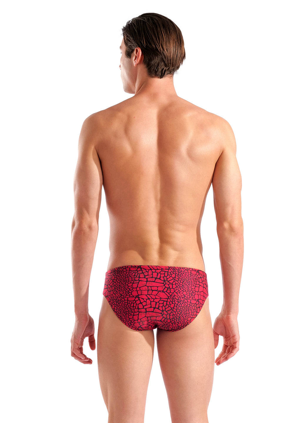 Arena Men's Snakeskin Brief Swimsuit