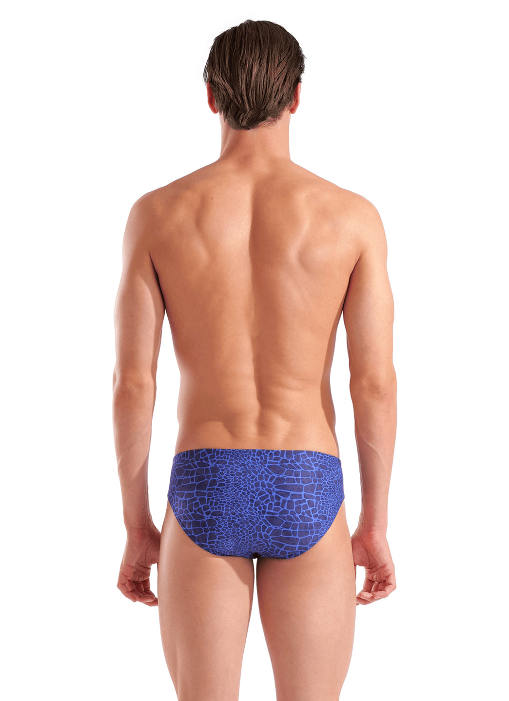 Arena Men's Snakeskin Brief Swimsuit