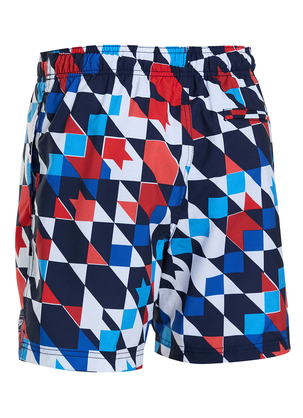Speedo Men's 17" Redondo Edge Volley Swim Trunks