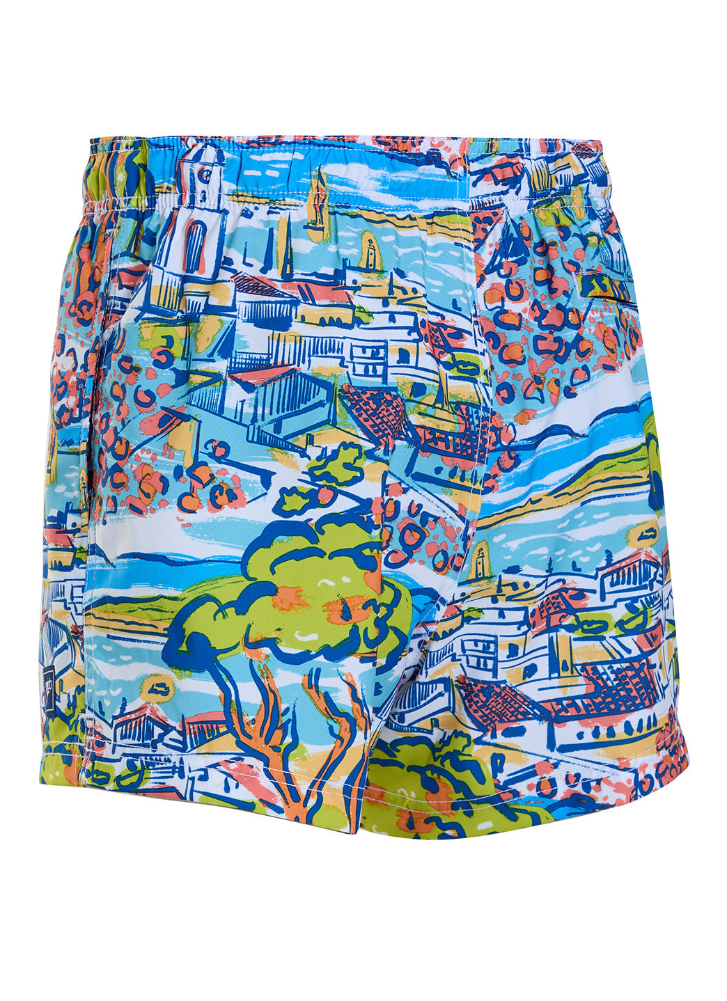 Speedo Men's 14" Redondo Edge Volley Swim Trunks