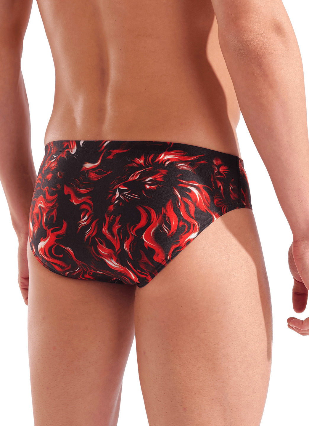 Arena Men's Indomitus Brief Swimsuit
